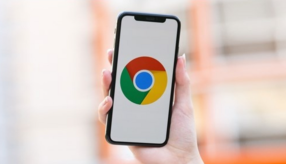 Chrome浏览器下载安装包版本控制技巧1