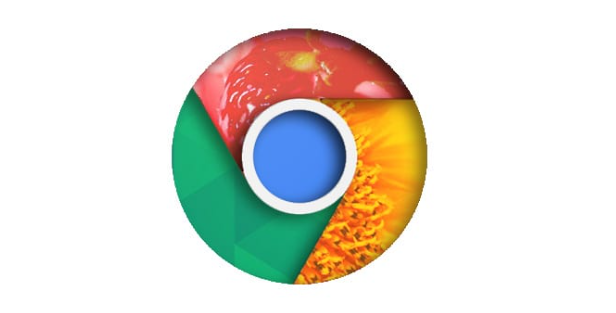 Google浏览器下载任务异常报告生成方法1