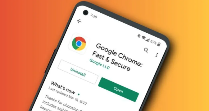Chrome浏览器插件是否适合网页性能优化1